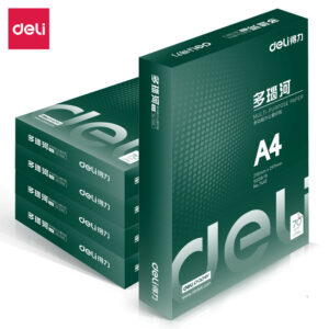 得力7441多瑙河复印纸(A4-70g-5包)(包)