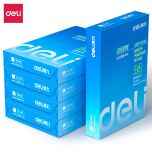 得力7419莱茵河复印纸(A4-80g-5包)(包)