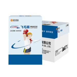 飞毛腿复印纸 80G A3 500S 5包/箱