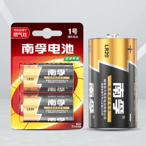 南孚 碱性电池 LR20-2B 1号 2节/卡