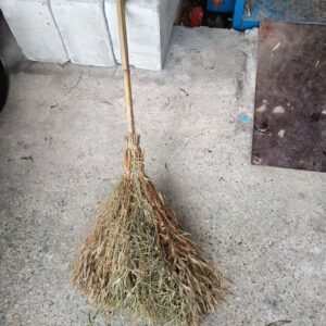 竹扫把 带叶