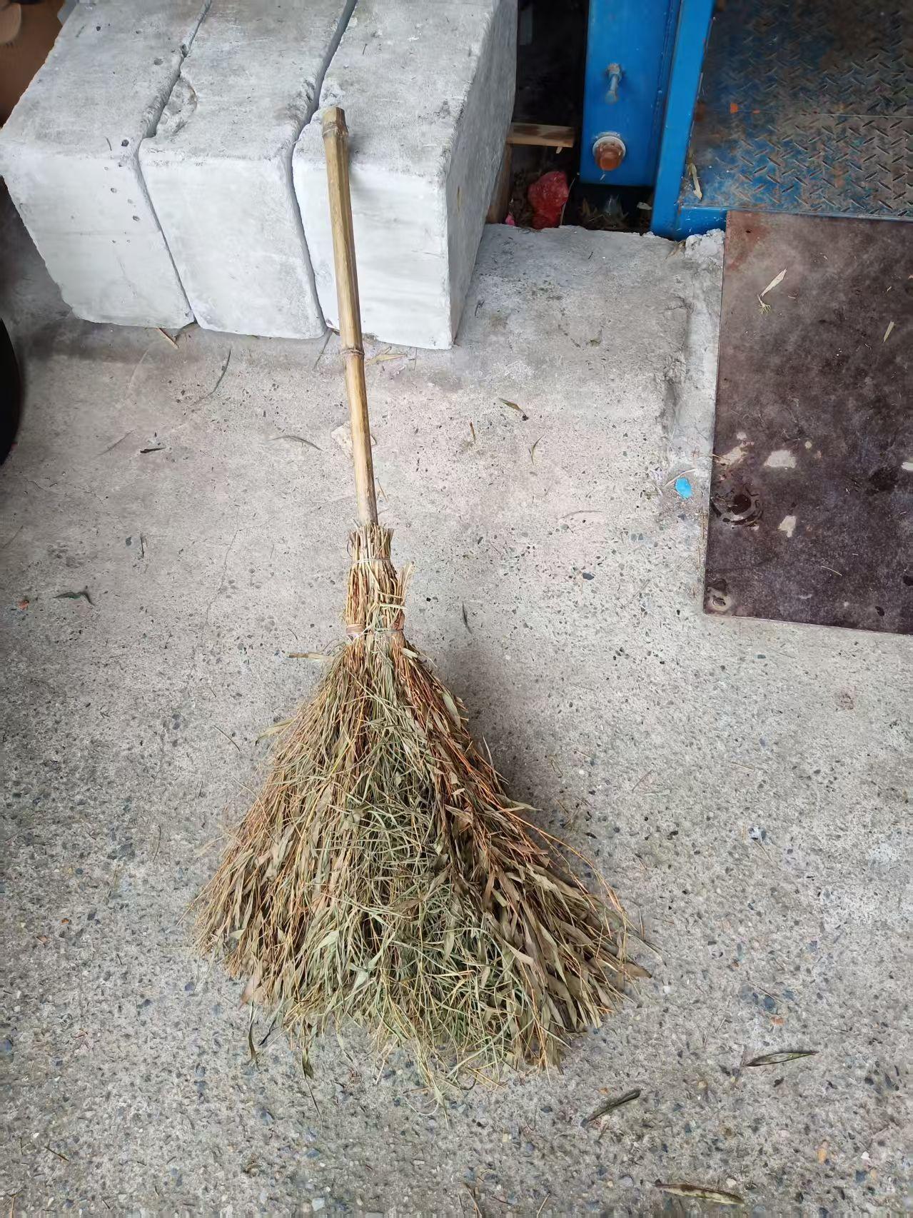 竹扫把 带叶